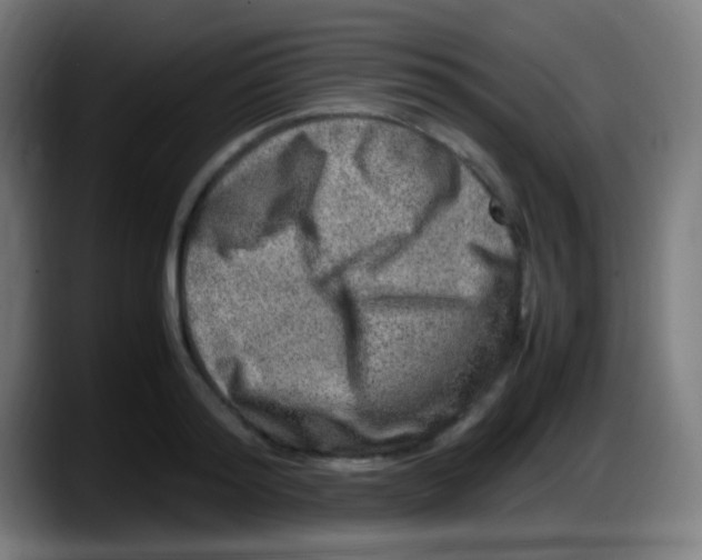 X0000087620796200705252001
