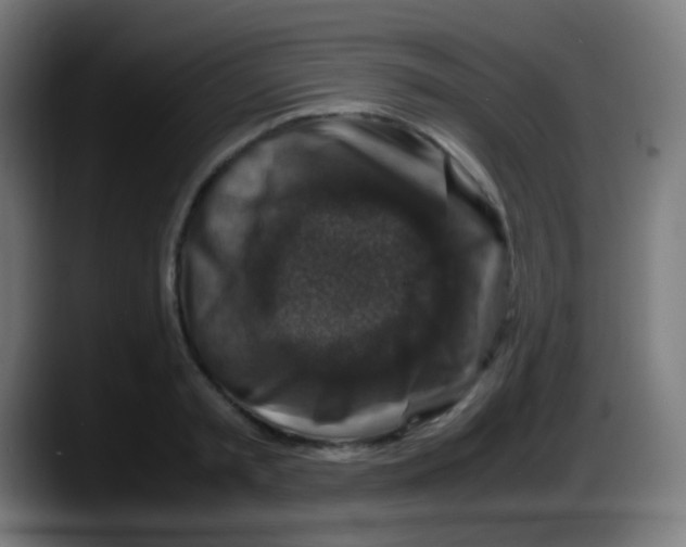 X0000087620797200705252001