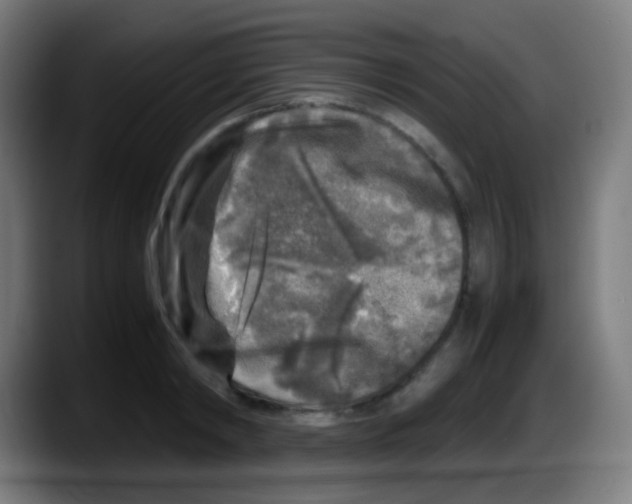 X0000087620798200705252001