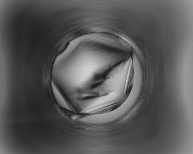 X0000087620801200705252001