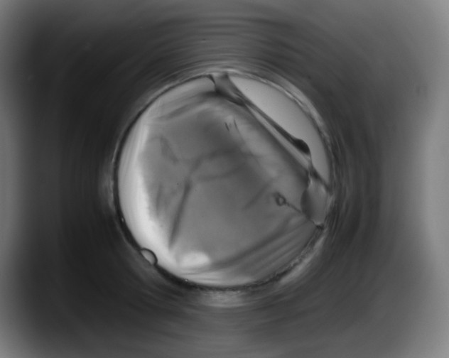 X0000087620802200705252001