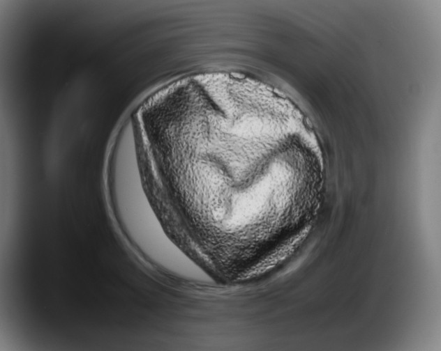 X0000087620803200705252001