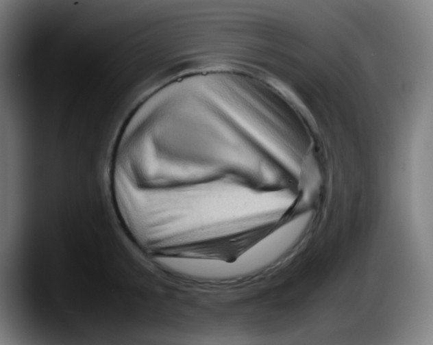 X0000087620805200705252001
