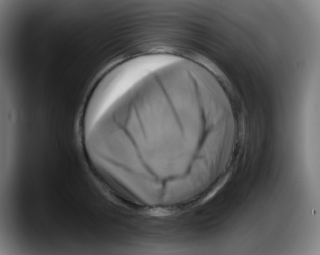 X0000087620806200705252001