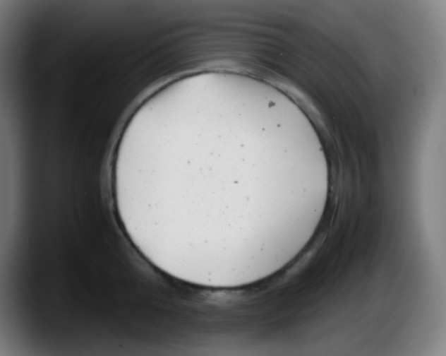 X0000087620808200705252001