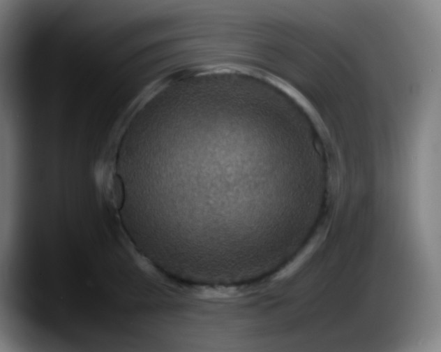 X0000087620809200705252001