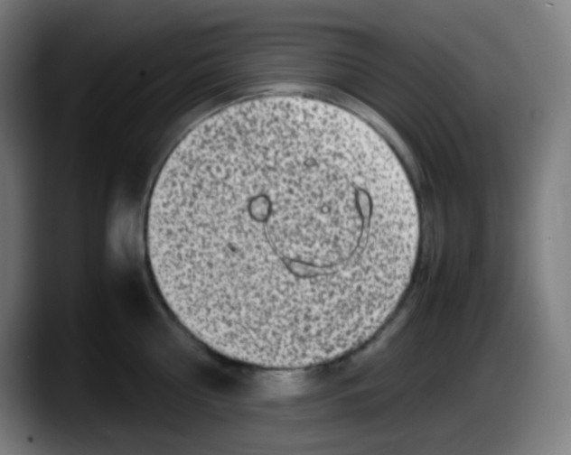 X0000087620810200705252001