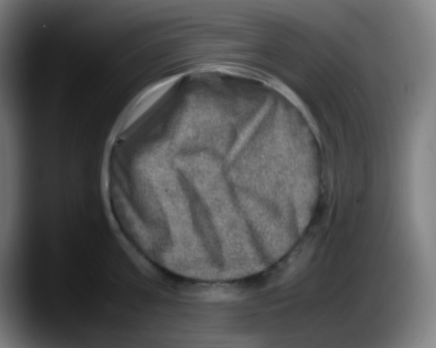 X0000087620811200705252001