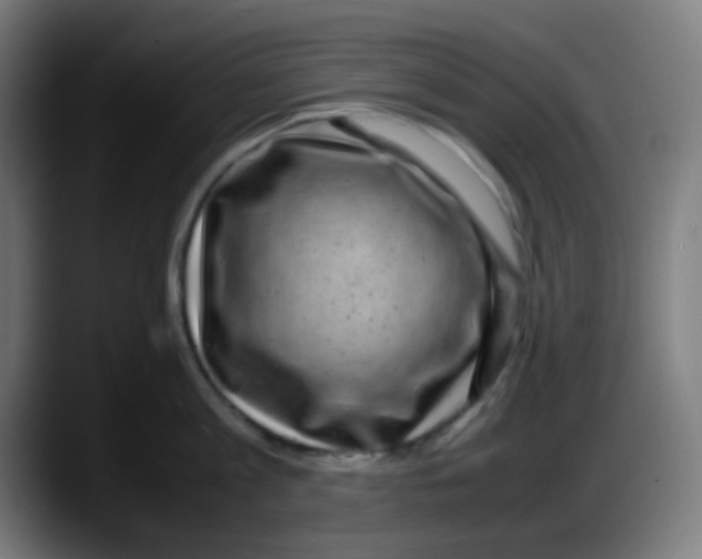 X0000087620813200705252001