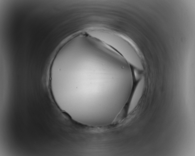 X0000087620815200705252001