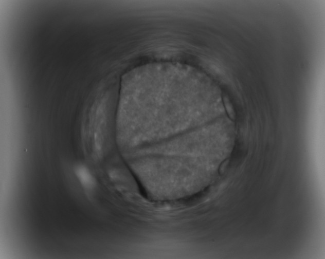 X0000087620817200705252000