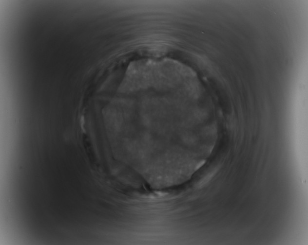 X0000087620818200705252000