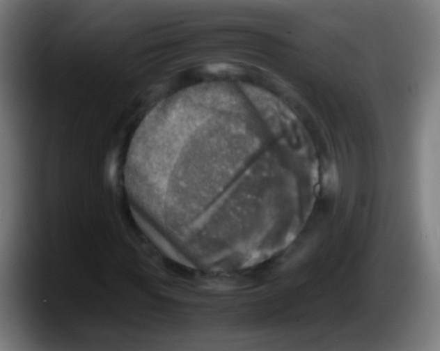 X0000087620819200705252000