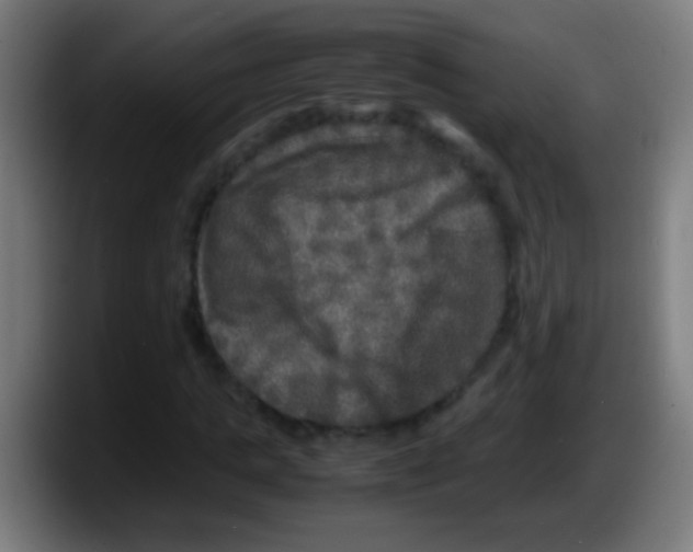 X0000087620821200705252000