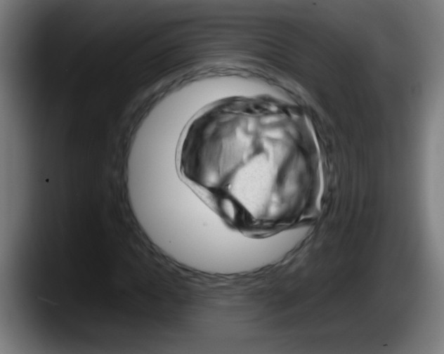 X0000087620822200705252000