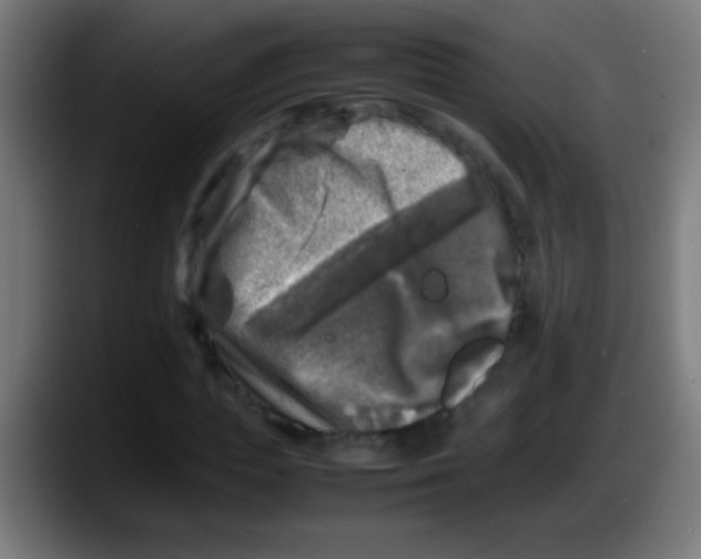 X0000087620823200705252001