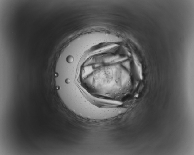 X0000087620824200705252001