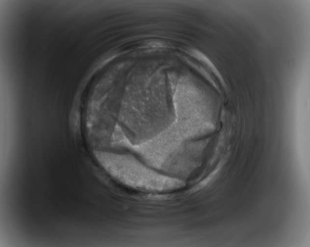 X0000087620827200705252001