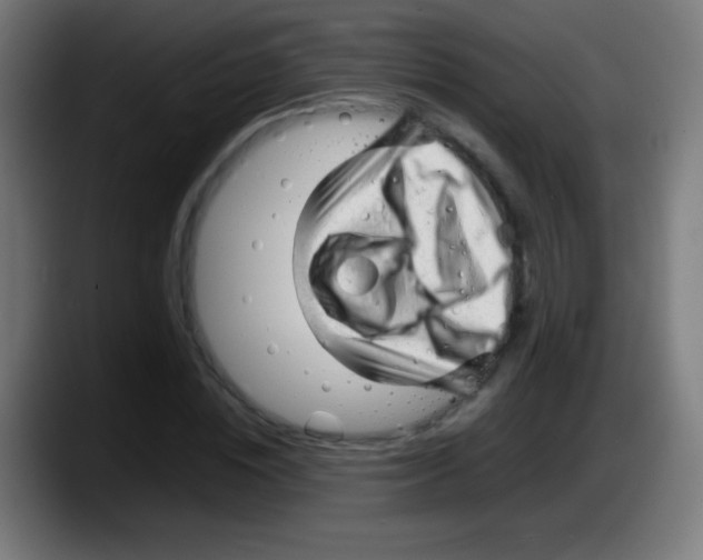 X0000087620828200705252001