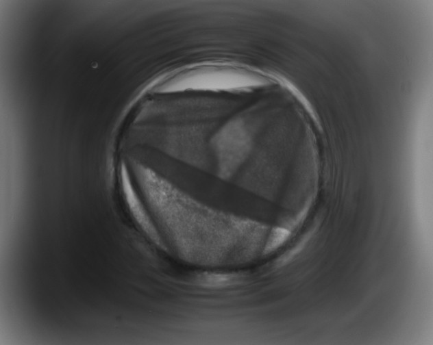 X0000087620829200705252001