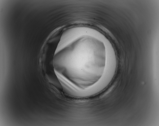X0000087620830200705252001