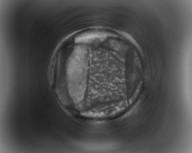 X0000087620831200705252001