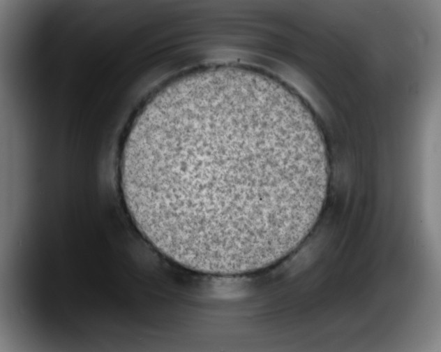 X0000087620832200705252001