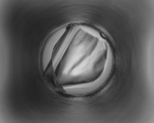 X0000087620834200705252001