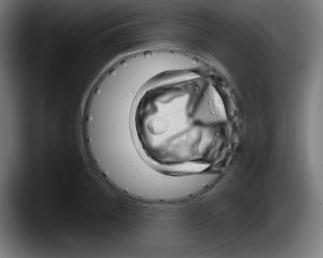 X0000087620836200705252001