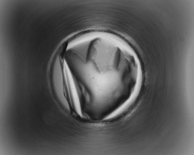X0000087620838200705252001