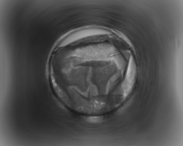 X0000087620839200705252001