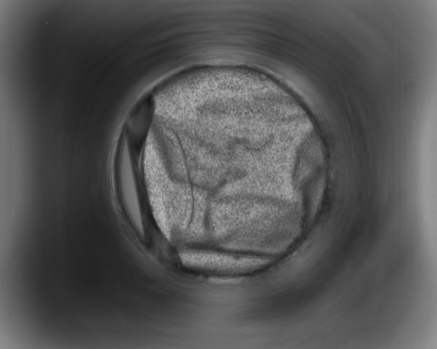 X0000087620840200705252001