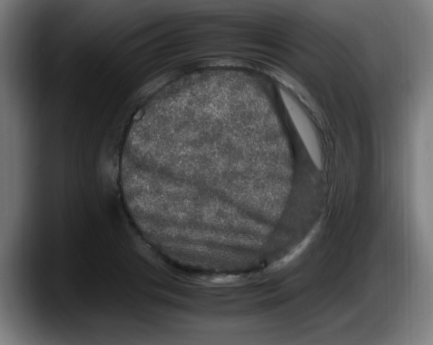 X0000087620841200705252001