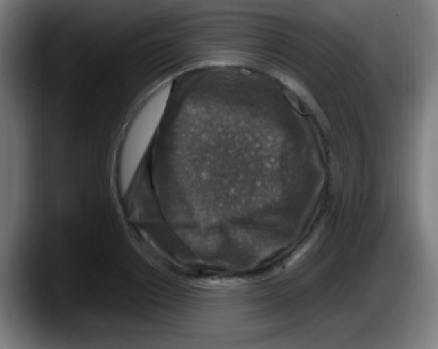 X0000087620842200705252001