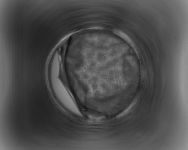 X0000087620843200705252001