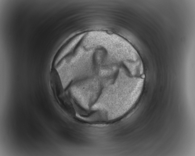 X0000087620844200705252001