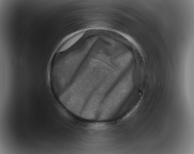X0000087620846200705252001