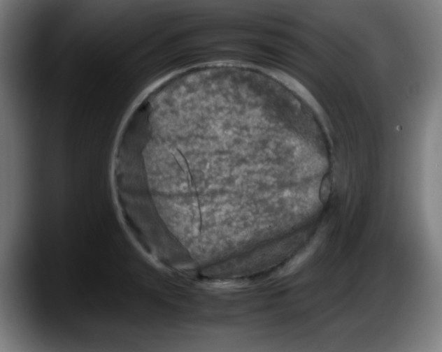 X0000087620847200705252001