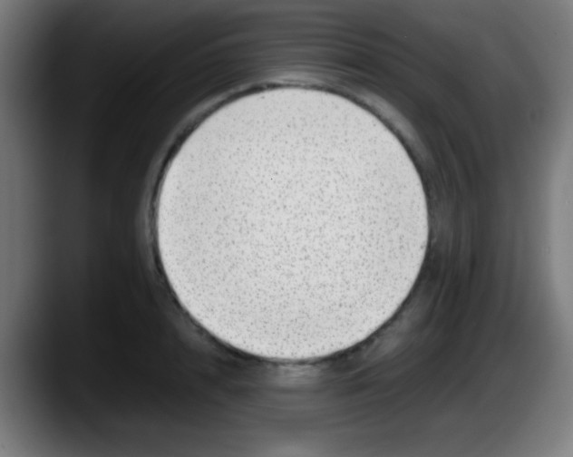 X0000087620848200705252001