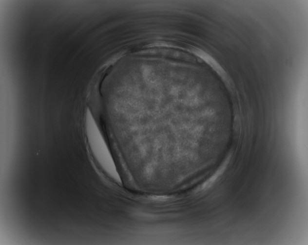X0000087620849200705252001