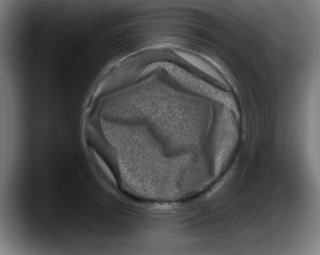 X0000087620850200705252001