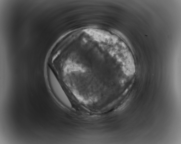 X0000087620851200705252001