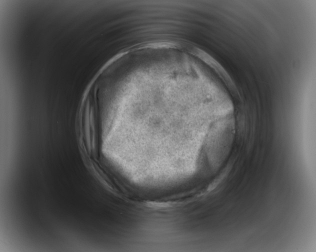 X0000087620852200705252001