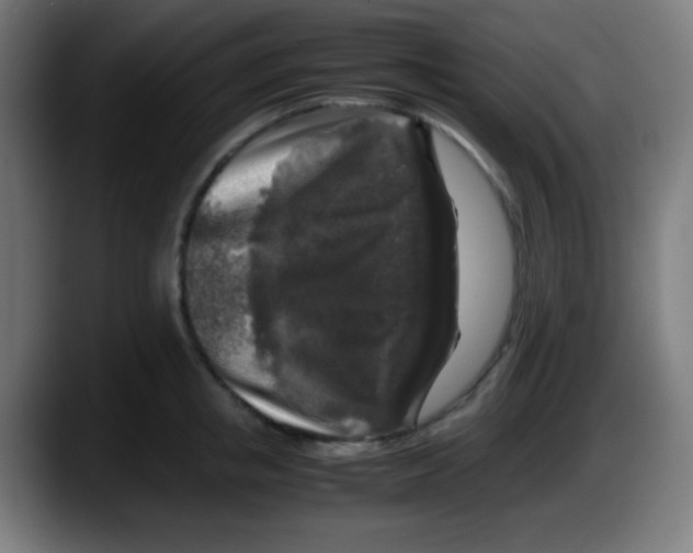 X0000087620853200705252001