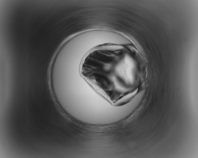 X0000087620854200705252001