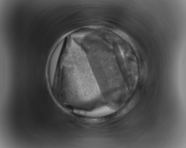 X0000087620855200705252001