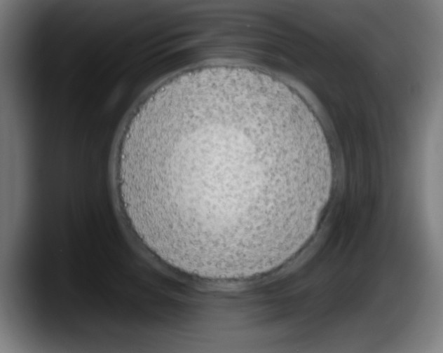 X0000087620856200705252001