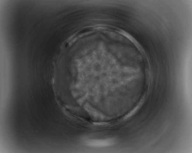 X0000087620857200705252001