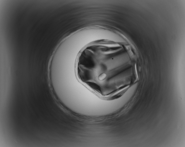 X0000087620858200705252001