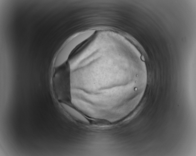 X0000087620860200705252001